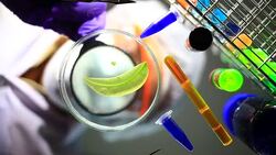 Researcher working with biochemicals in a lab Stock Footage