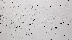 black paint Stock Footage