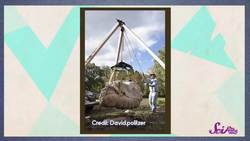 Dissect a Pumpkin! Instructional Video