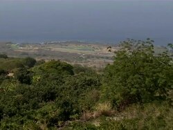 Slow zoom out of the coffee bean plantation and coast. Stock Footage