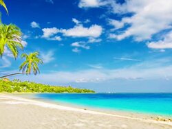 Tropical beach Stock Footage