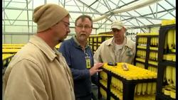 Science Behind Bars Instructional Video