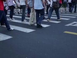 Many people crossing at a pedestrian crossing Stock Footage