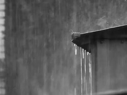 Day of Rain Stock Footage