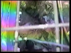 Fire kills 133 after fight in prison News Clip