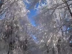 HD: Winter tale Stock Footage