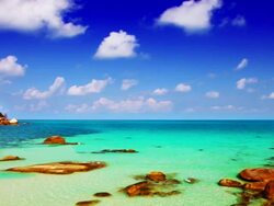 Tropical beach Stock Footage