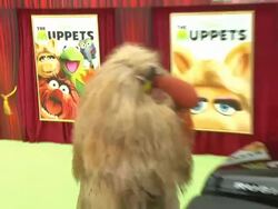 FRONT: Kermit the Frog, BACK: Animal, Walter, Fozzie Bear, Gonzo, Rowlf at the The World Premiere of Walt Disney's 'The Muppets' at Hollywood CA. Stock Footage