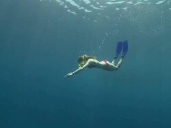Snorkel diver swimming underwater in blue ocean, South Ari Atoll, The Maldives Stock Footage