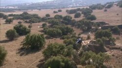 A helicopter flies above giraffes in Kruger National Park. Stock Footage