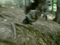 Paintball Players Running Stock Footage