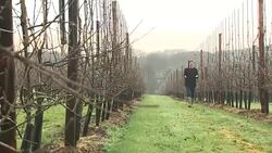 Will a post-Brexit economy swap workers for robots? News Clip