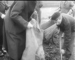 FUEL AND POWER News Clip