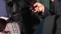 Chinese flood travel infrastructure as the rush home for the Lunar New Year begins News Clip