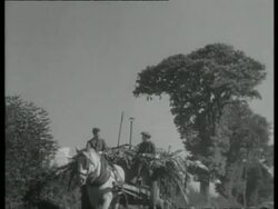 Farm boys ride horse drawn wagon, England, UK 1940 Stock Footage