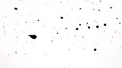 blot black Stock Footage