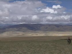 Pan right reveal Horses walking Taklakot Tibet China Stock Footage