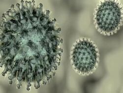 Computer animation of small group of viruses Stock Footage