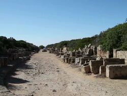 Selinunte, Acropolis, the main ancient road  Stock Footage