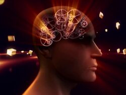 brain human mechanism two versions Stock Footage