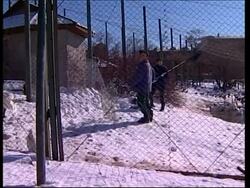 Birds in the zoo are being vaccinated against bird flu News Clip