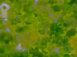 FLOWERS : green close-up (LOOP) Stock Footage
