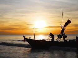 HD:Fisherman on sunrise.(Silhouette scene) Stock Footage