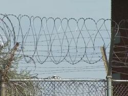 Barbed Wire Fence At Cook County Jail Stock Footage