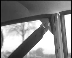 NEW CAR SAFETY BELT News Clip