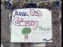 Man lives in tree to fight urban expansion News Clip