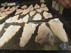 Preparation of a fish meal  Stock Footage