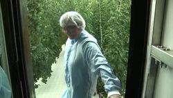 Aerospace engineer devises sky high hydroponic greenhouse News Clip