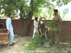 People with learning difficulties are taught new skills News Clip