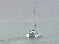 MS AERIAL ZO Shot of boat moving in river / South Carolina, United States Stock Footage