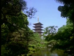 WA view of 5 Storey pagoda across Demboin garden, Sensoji shrine, Asakusa, Tokyo, Japan Stock Footage
