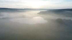 Misty forest landscape, Mpumalanga, South Africa Stock Footage