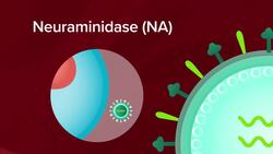 The Deadliest Flu Season in History? Instructional Video