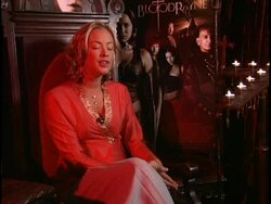 'Bloodrayne' Junket Stock Footage