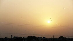 Kites flying in the sky during sunset Stock Footage