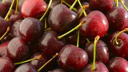 cherries on a rotating plate, closeup Stock Footage