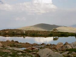 WS View of mountain goats grazing near tundra pond at sunrise / Idaho Springs, Colorado, United States Stock Footage