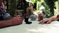 Marriage Proposal Stock Footage