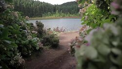 Portugal Aï¿½ores Sï¿½o Miguel Lagoa 7 cidades Stock Footage