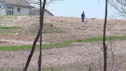 CLEAN: Stock shots of the DMZ from the North News Clip