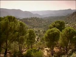 Scenic, Lynx habitat, Sierra Morena, Andalucia, Southern Spain Stock Footage