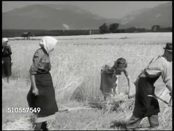 1948: YUGOSLAVIA FARMLANDS: WS Farmers harvesting wheat. VS Workers cutting field. WS Tractors plowing field. CU Machine rake plowing dirt. Countryside, Tito's Five-Year Plan Instructional Video