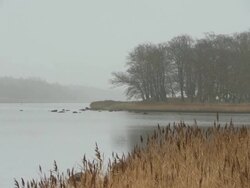 Danish lake Stock Footage