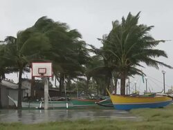 Strong wind blows palm trees and small fishing boat on land. Super Typhoon Megi or Juan, NE Luzon, Philippines Oct 2010 / AUDIO Stock Footage