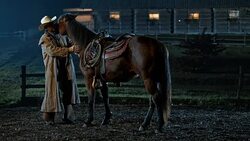 SLO MO Herdsman stroking his horse in the evening Stock Footage