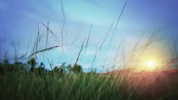 landscape and sunrise Stock Footage